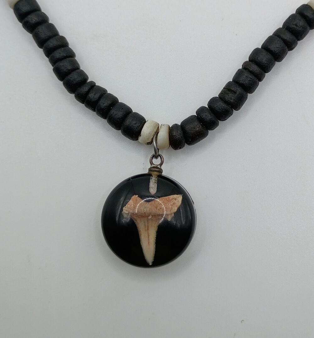 Artisan Shark Tooth Necklace